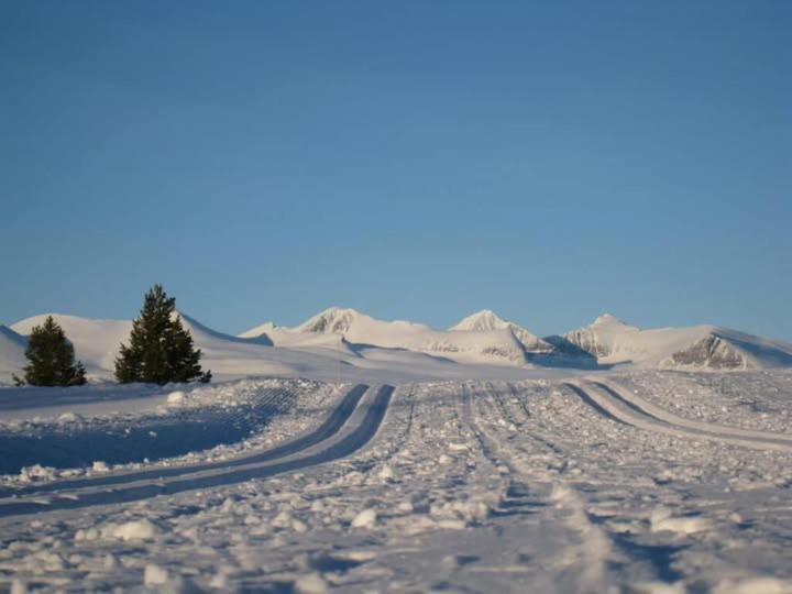 Bjorgebu Camping As Mysusaeter Exterior photo